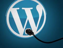 7 Best WordPress Plugins You Must Install In A New WordPress Website